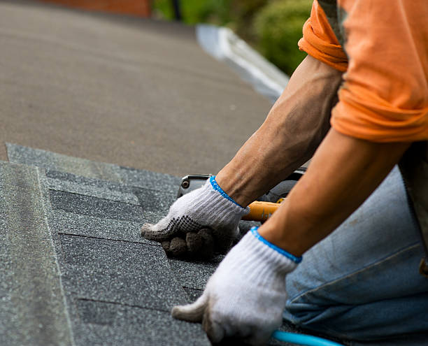 Roof Installation Near Me in South Holland, IL